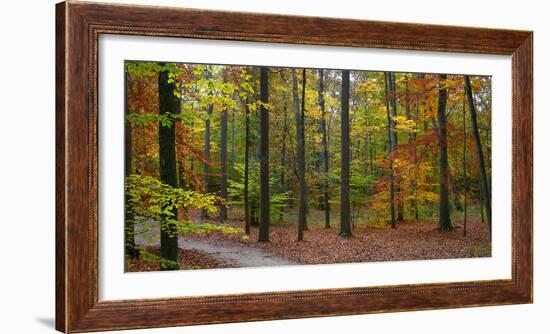 Fall in McCormics Creek State Park, Indiana, USA-Anna Miller-Framed Photographic Print