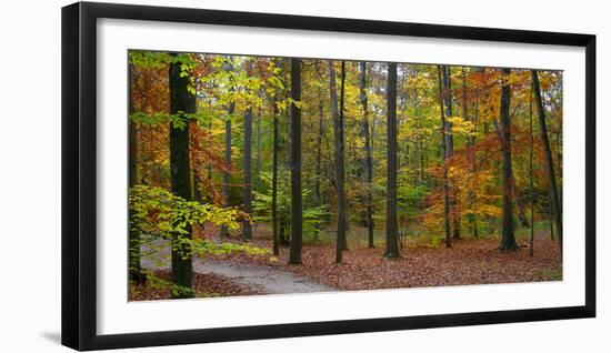 Fall in McCormics Creek State Park, Indiana, USA-Anna Miller-Framed Photographic Print