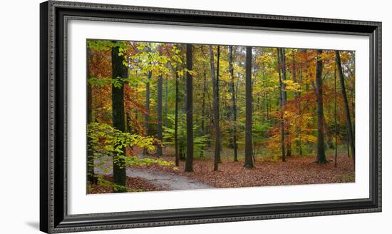 Fall in McCormics Creek State Park, Indiana, USA-Anna Miller-Framed Photographic Print