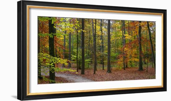 Fall in McCormics Creek State Park, Indiana, USA-Anna Miller-Framed Photographic Print