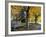 Fall in New England, New Hampshire, USA-Jerry & Marcy Monkman-Framed Photographic Print