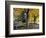 Fall in New England, New Hampshire, USA-Jerry & Marcy Monkman-Framed Photographic Print