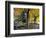 Fall in New England, New Hampshire, USA-Jerry & Marcy Monkman-Framed Photographic Print