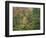 Fall in Northern Hardwood Forest, New Hampshire, USA-Jerry & Marcy Monkman-Framed Photographic Print