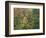 Fall in Northern Hardwood Forest, New Hampshire, USA-Jerry & Marcy Monkman-Framed Photographic Print