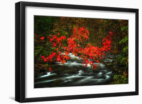 Fall in Smokies-Robert Lott-Framed Art Print