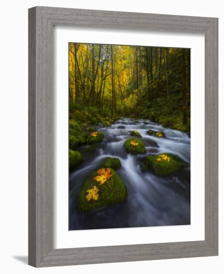 Fall in the Columbia River Gorge in Oregon-Miles Morgan-Framed Photographic Print