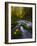 Fall in the Columbia River Gorge in Oregon-Miles Morgan-Framed Photographic Print