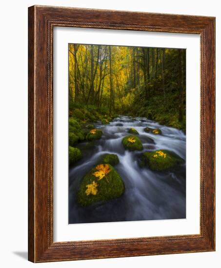 Fall in the Columbia River Gorge in Oregon-Miles Morgan-Framed Photographic Print