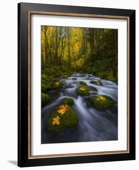 Fall in the Columbia River Gorge in Oregon-Miles Morgan-Framed Photographic Print