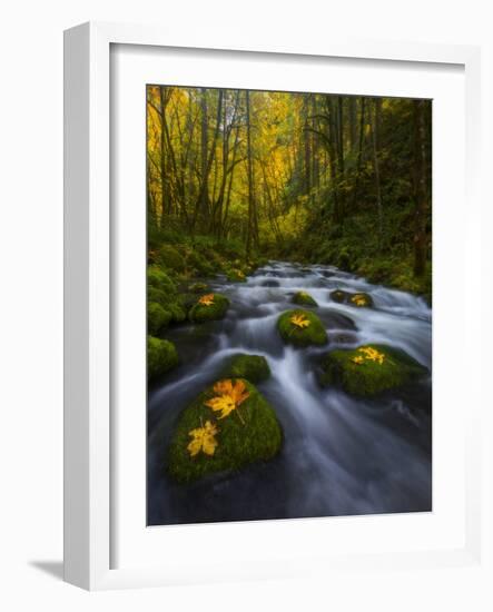 Fall in the Columbia River Gorge in Oregon-Miles Morgan-Framed Photographic Print