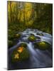 Fall in the Columbia River Gorge in Oregon-Miles Morgan-Mounted Photographic Print