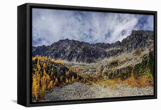 Fall in the Mountains 1-Ursula Abresch-Framed Premier Image Canvas