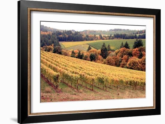 Fall in Wine Country I-Maureen Love-Framed Photographic Print