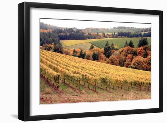 Fall in Wine Country I-Maureen Love-Framed Photographic Print