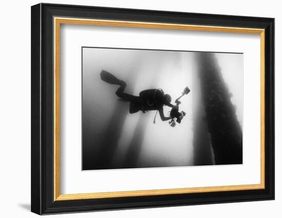 Fall Into the Silence-Marcel Rebro-Framed Photographic Print
