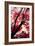 Fall Japanese Maples, Oakland-Vincent James-Framed Photographic Print