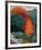 Fall Landscape-Robert Buffolini-Framed Collectable Print