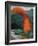 Fall Landscape-Robert Buffolini-Framed Collectable Print