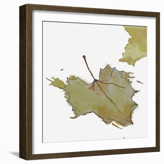 Fall Leaf 2-Karen Williams-Framed Giclee Print