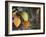 Fall Leaf Bouquet-Nicole Katano-Framed Photo