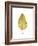 Fall Leaf Study I-Grace Popp-Framed Art Print