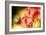 Fall Leaves 2-Ursula Abresch-Framed Photographic Print