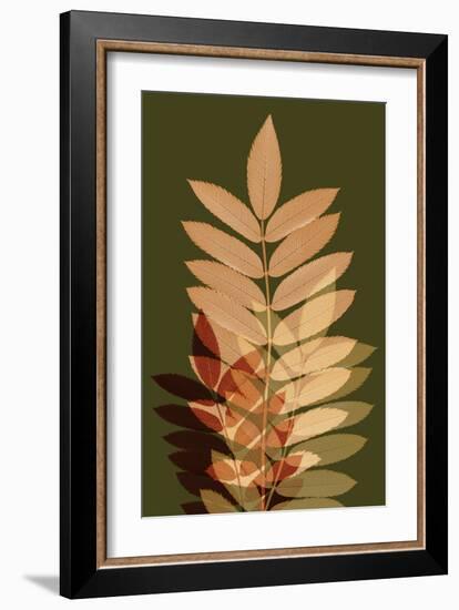 Fall Leaves 2-Ian Winstanley-Framed Art Print