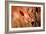 Fall Leaves 3-Ursula Abresch-Framed Photographic Print