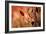 Fall Leaves 3-Ursula Abresch-Framed Photographic Print