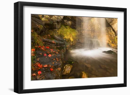 Fall Leaves At The Bottom Of A Waterfall In The Foothills Of The Wasatch Mountains, Utah-Austin Cronnelly-Framed Photographic Print