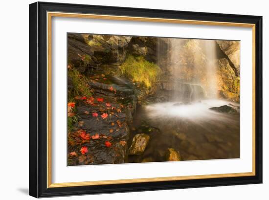 Fall Leaves At The Bottom Of A Waterfall In The Foothills Of The Wasatch Mountains, Utah-Austin Cronnelly-Framed Photographic Print