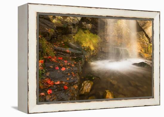 Fall Leaves At The Bottom Of A Waterfall In The Foothills Of The Wasatch Mountains, Utah-Austin Cronnelly-Framed Premier Image Canvas