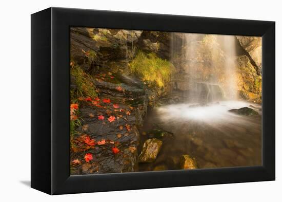 Fall Leaves At The Bottom Of A Waterfall In The Foothills Of The Wasatch Mountains, Utah-Austin Cronnelly-Framed Premier Image Canvas