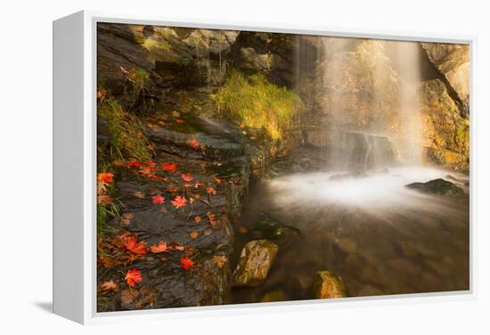 Fall Leaves At The Bottom Of A Waterfall In The Foothills Of The Wasatch Mountains, Utah-Austin Cronnelly-Framed Premier Image Canvas