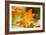 Fall Leaves III-Erin Berzel-Framed Photographic Print