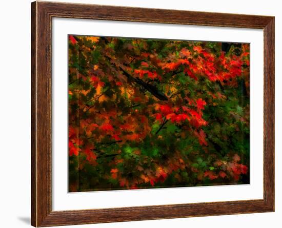 Fall Leaves-Steven Maxx-Framed Photographic Print