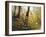 Fall Leaves-Miguel Dominguez-Framed Giclee Print