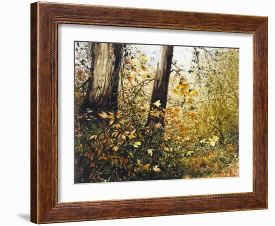 Fall Leaves-Miguel Dominguez-Framed Giclee Print