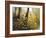 Fall Leaves-Miguel Dominguez-Framed Giclee Print