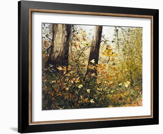 Fall Leaves-Miguel Dominguez-Framed Giclee Print