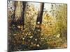 Fall Leaves-Miguel Dominguez-Mounted Giclee Print