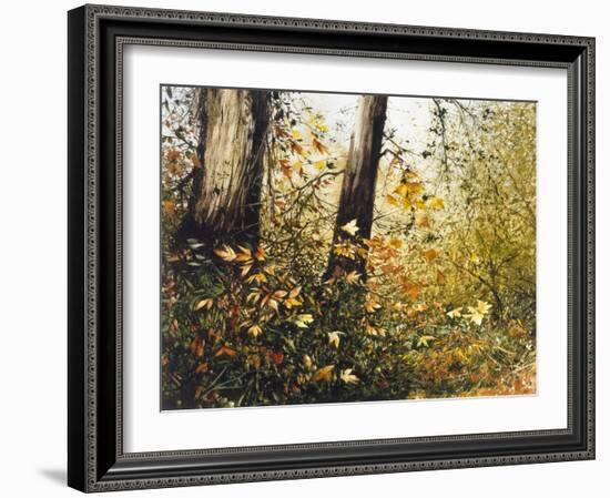 Fall Leaves-Miguel Dominguez-Framed Giclee Print
