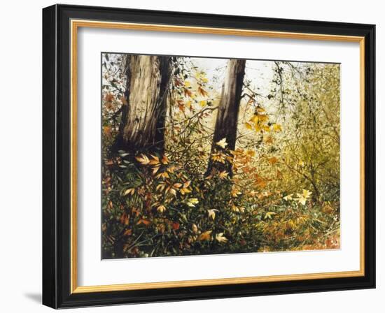 Fall Leaves-Miguel Dominguez-Framed Giclee Print