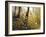 Fall Leaves-Miguel Dominguez-Framed Giclee Print