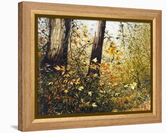 Fall Leaves-Miguel Dominguez-Framed Premier Image Canvas