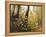 Fall Leaves-Miguel Dominguez-Framed Premier Image Canvas