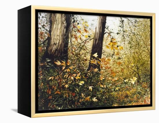 Fall Leaves-Miguel Dominguez-Framed Premier Image Canvas