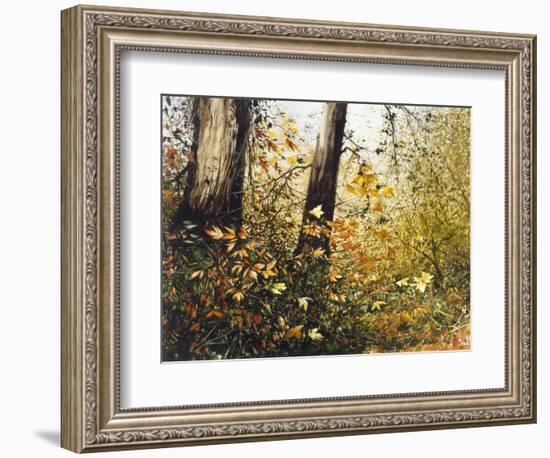 Fall Leaves-Miguel Dominguez-Framed Giclee Print