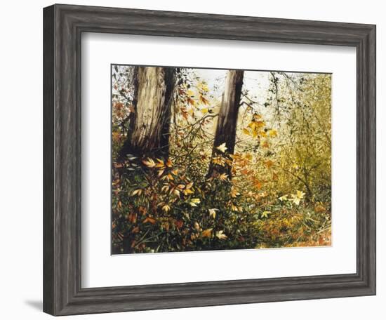 Fall Leaves-Miguel Dominguez-Framed Giclee Print